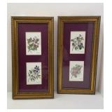 Pair of  Shirley Hamilton Berry Prints Matted