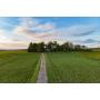 NO RESERVE FARMHOUSE ON 7 ACRES ONLINE AUCTION