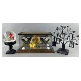 Framed taxidermy glass diorama display featuring