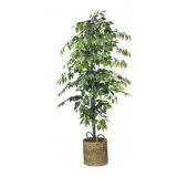 Faux 72' Ficus Tree in Roped-Style Handwoven