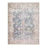 details by Becki Owens Amelie Area Rug, 8ï¿½x10ï¿½
