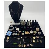 Group of fashion jewelry, pins, broaches,