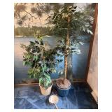 2 artificial trees and hanging planter with puca