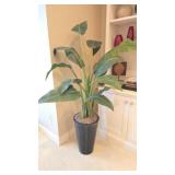 Artificial Bird of Paradise Plant, 5ft 4in Tall