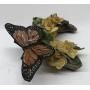 Kuhlman 1979 Butterfly