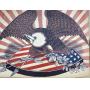 Patriotic eagle cardboard sign