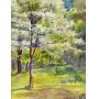G.H. Baker watercolor