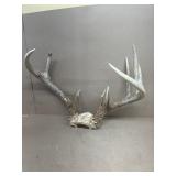 Antlers