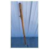 Walking stick