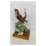 Wood Thrush by Andrea