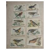 (10) 1930s church and dwight bird cards