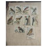 (10) 1930s church and Dwight bird cards