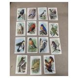 (15) 1930s church and Dwight bird cards