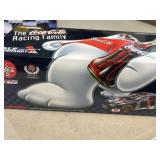 1998 Dale Earnhardt Junior polar bear diecast car
