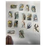 1930s church and Dwight Company bird trading cards