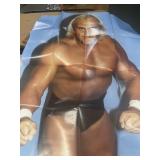 Hulk Hogan 3