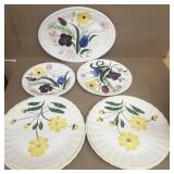 (5) Blue Ridge plates