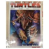 1989 Teenage Mutant Ninja Turtle comic