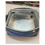 Carry bag cooler