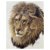 African Lion (By B.L. Marris) print # 93/100