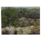 April exhibition, signed by Randall shedd