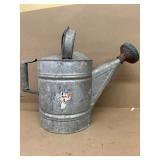 Galvanized watering can