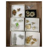 Clip Earrings and pin Sets