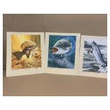 Fish prints 1967, 1968 1969