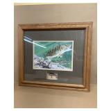 Rapela lure with print