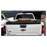 6 Foot .5 Inches Long Bull Horns