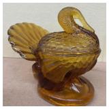 Amber turkey on nest