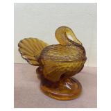 Amber turkey on nest