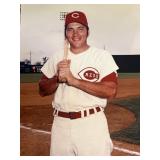 Johnny Bench Color poster photo 16" x 12"