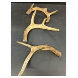 Deer antlers