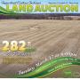 PREMIER LAND AUCTION - 282+- Acres (WAYNE CO., IN)