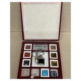 Colors of life brooch with changeable stones