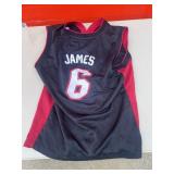 LeBron James NBA basketball Miami Heat jersey