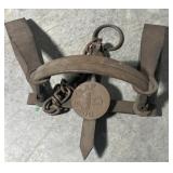 DUKE #6 Bear Trap, Company D