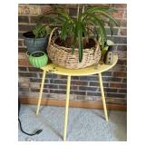 Plants and table