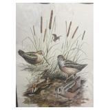 Frame print of birds 20" x 24 1/2"