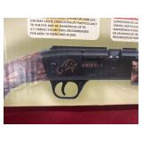 Daisy, grizzly air rifle, brand new