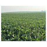 Productive Cropland Tracts