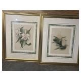 Flower framed prints