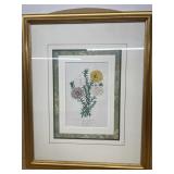 Prints of flowers