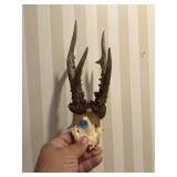 Antlers