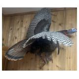 Taxidermy Turkey in Flight