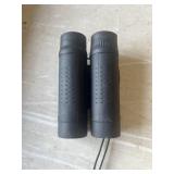 Tasco binoculars