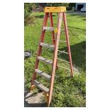 Werner step ladder