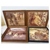 8 x 10 photos taken in Africa
