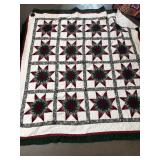 Machine ditch quilt 6